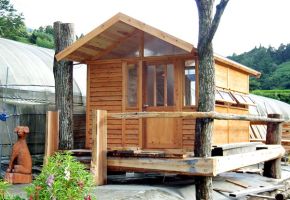 大型ペットハウス